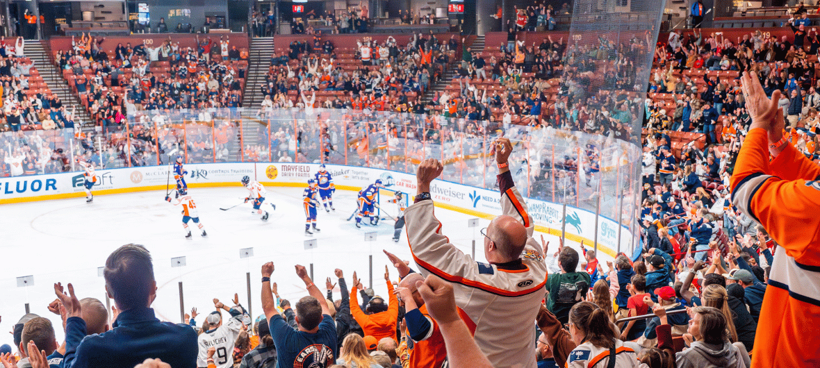More Info for Greenville Swamp Rabbits