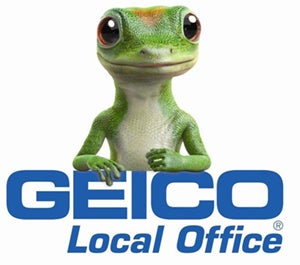 Gecko-on-Local-Office-small.jpg